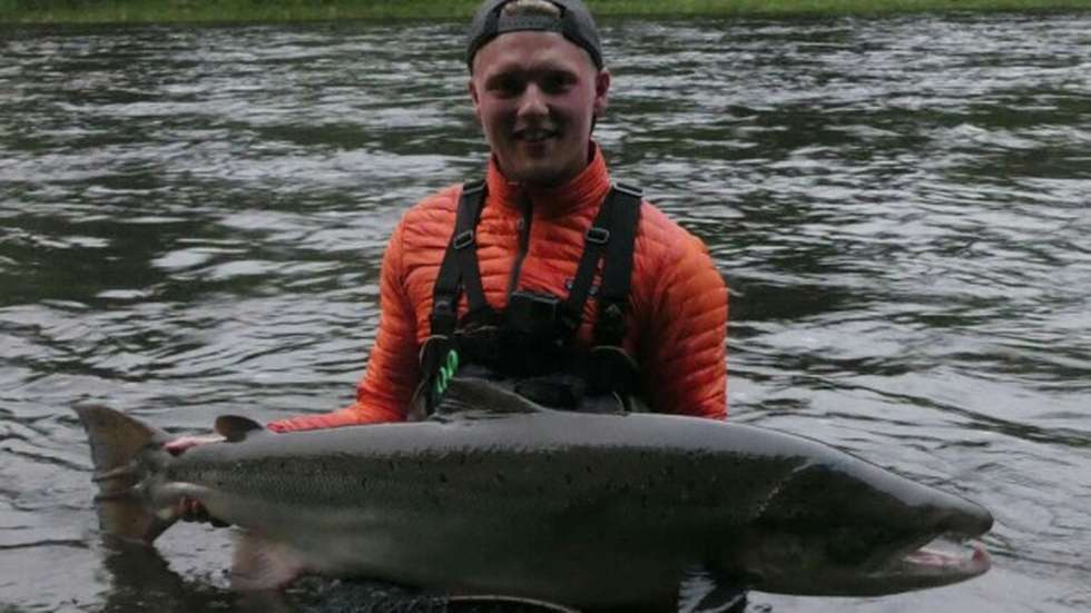 To laks på over 23 kilo tatt på flue i Orkla i år